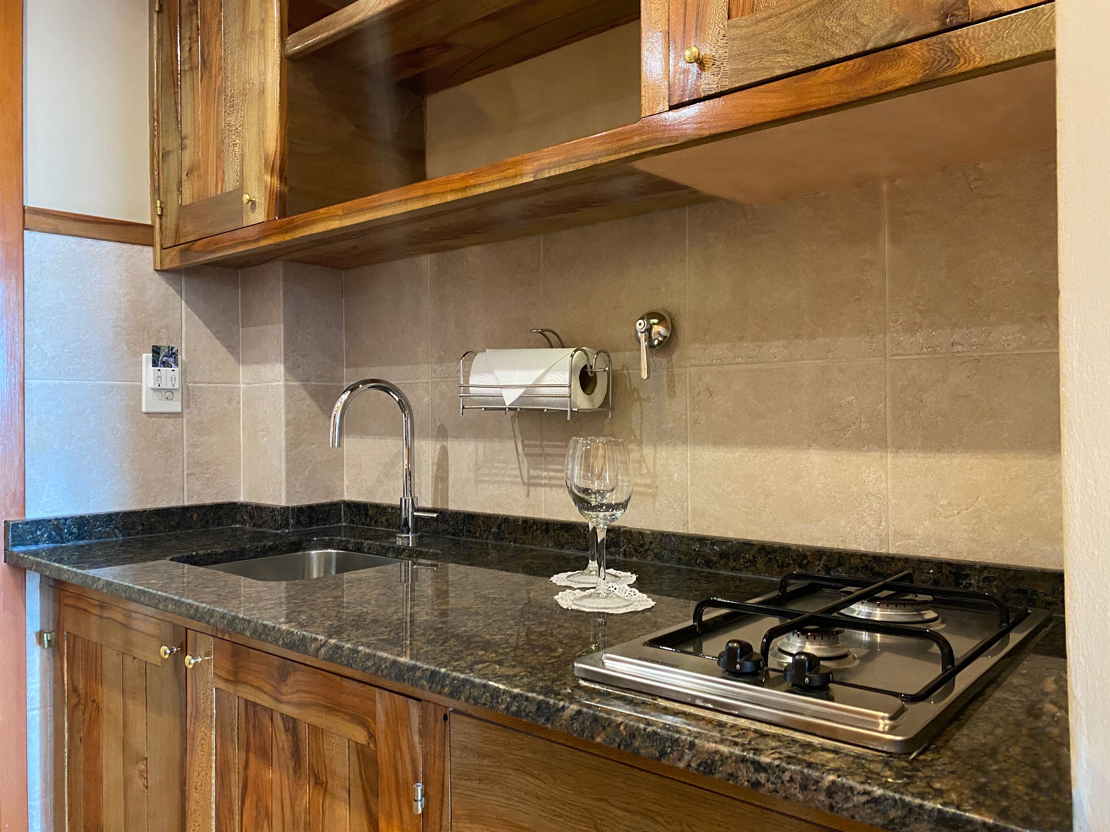 deluxe suite | private kitchen | microwave, griddle, paper towels