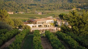 A vineyard with rows of grapevines and a large building with multiple windows and a sloped roof.