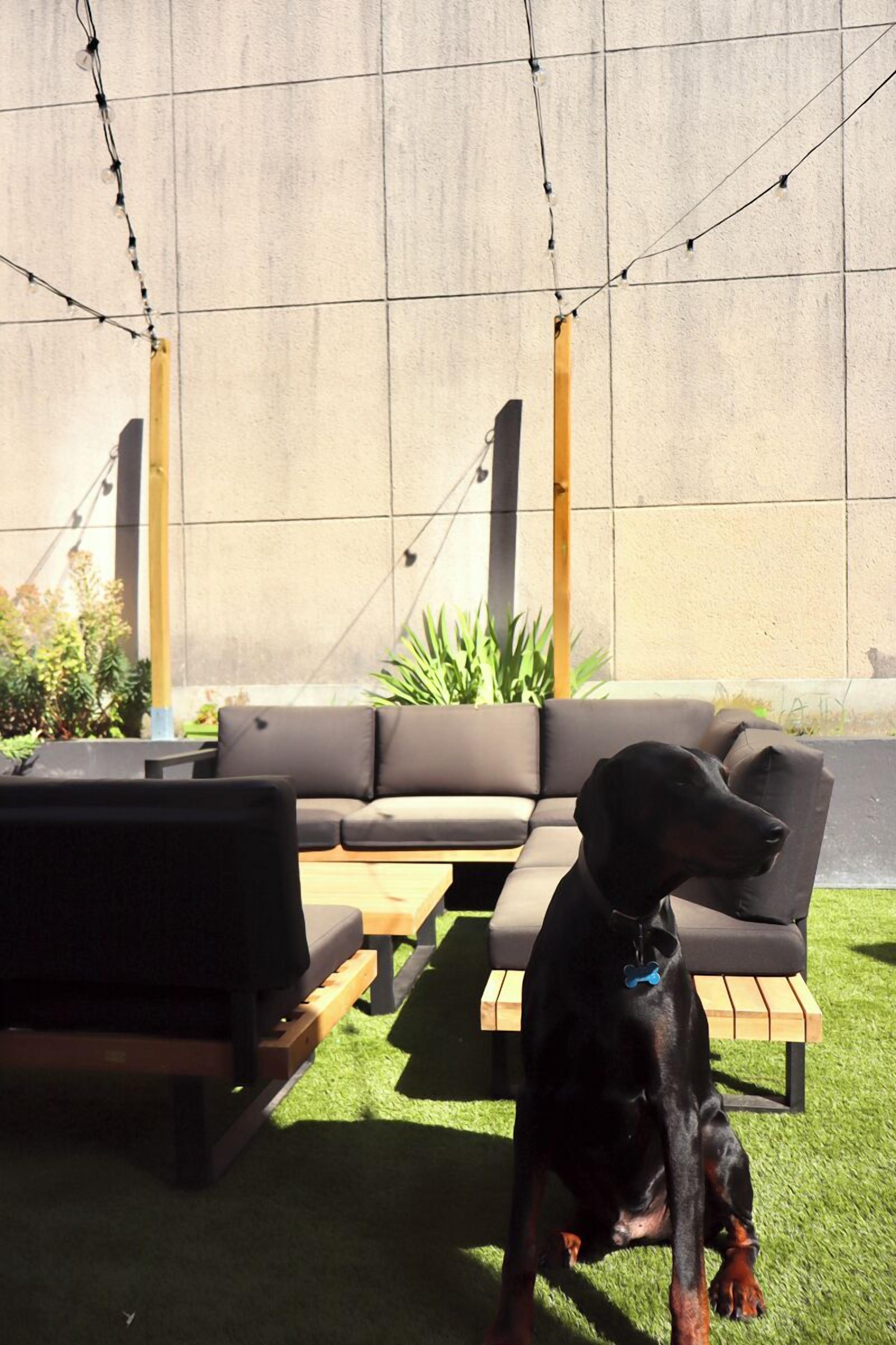 Foto - Brit Hotel Essentiel REIMS Taissy