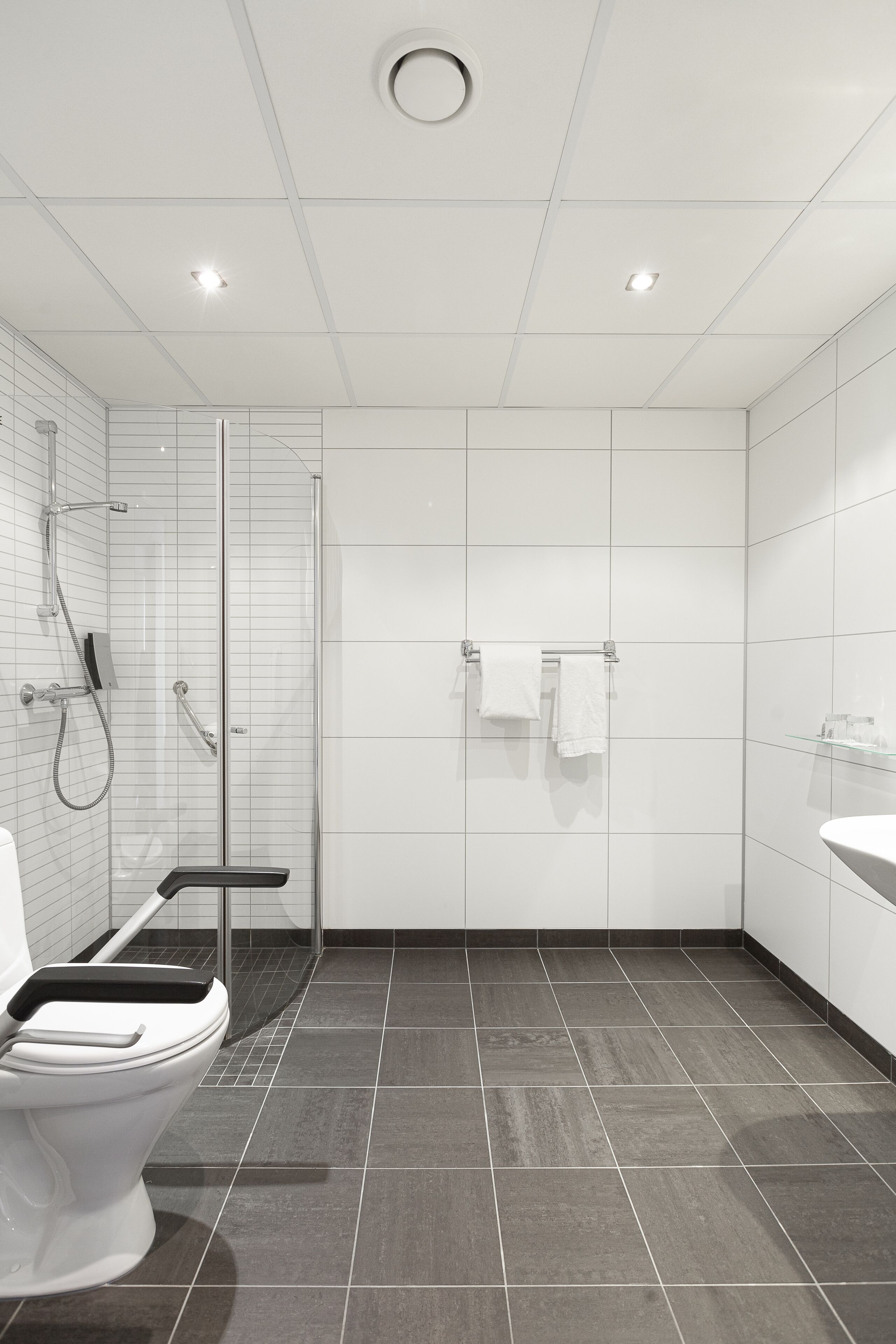 Une salle de bain moderne équipée de toilettes, d’une douche et d’un lavabo.