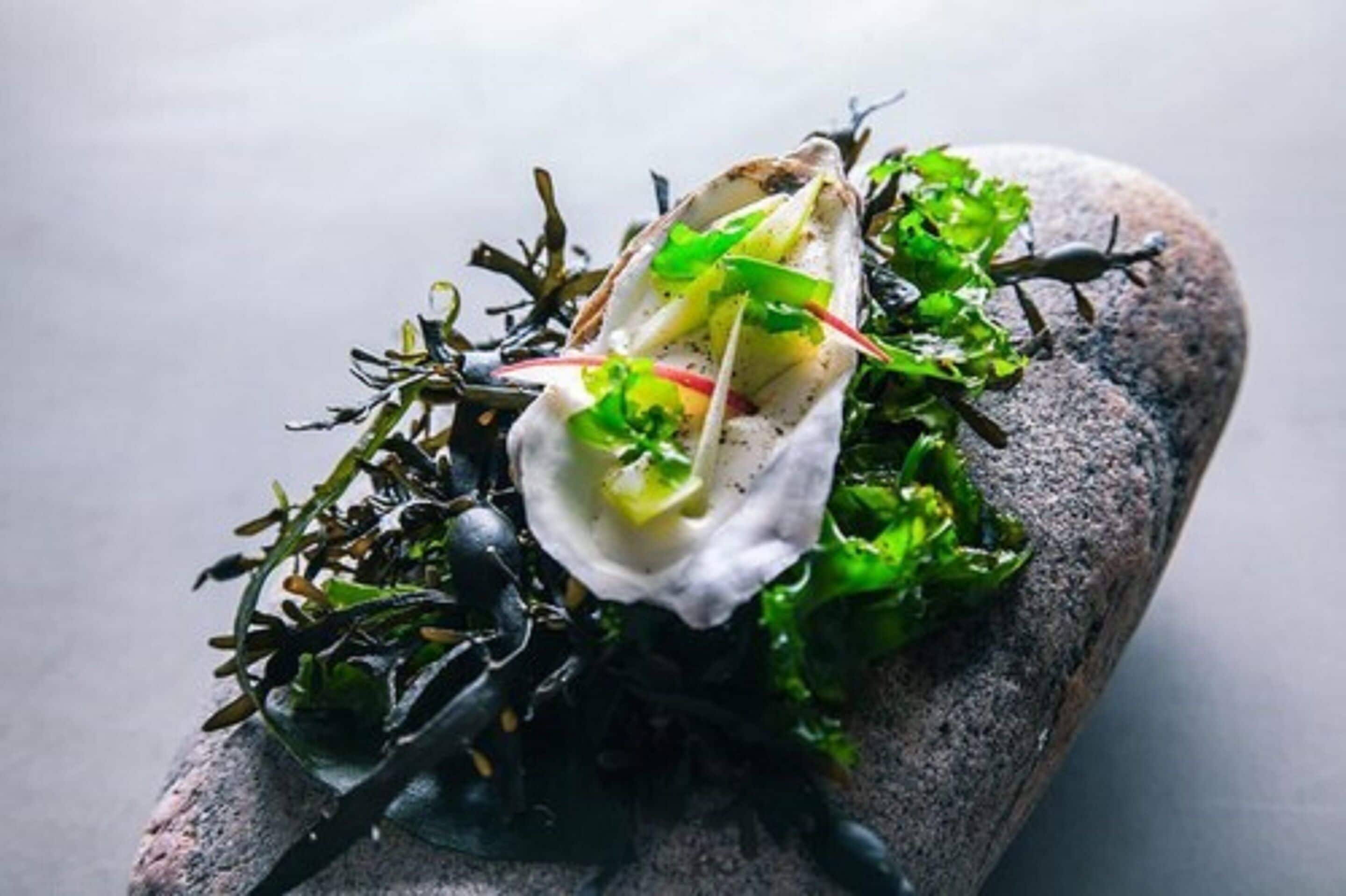 Un plato con vegetales verdes y un elemento blanco sobre una superficie de piedra.