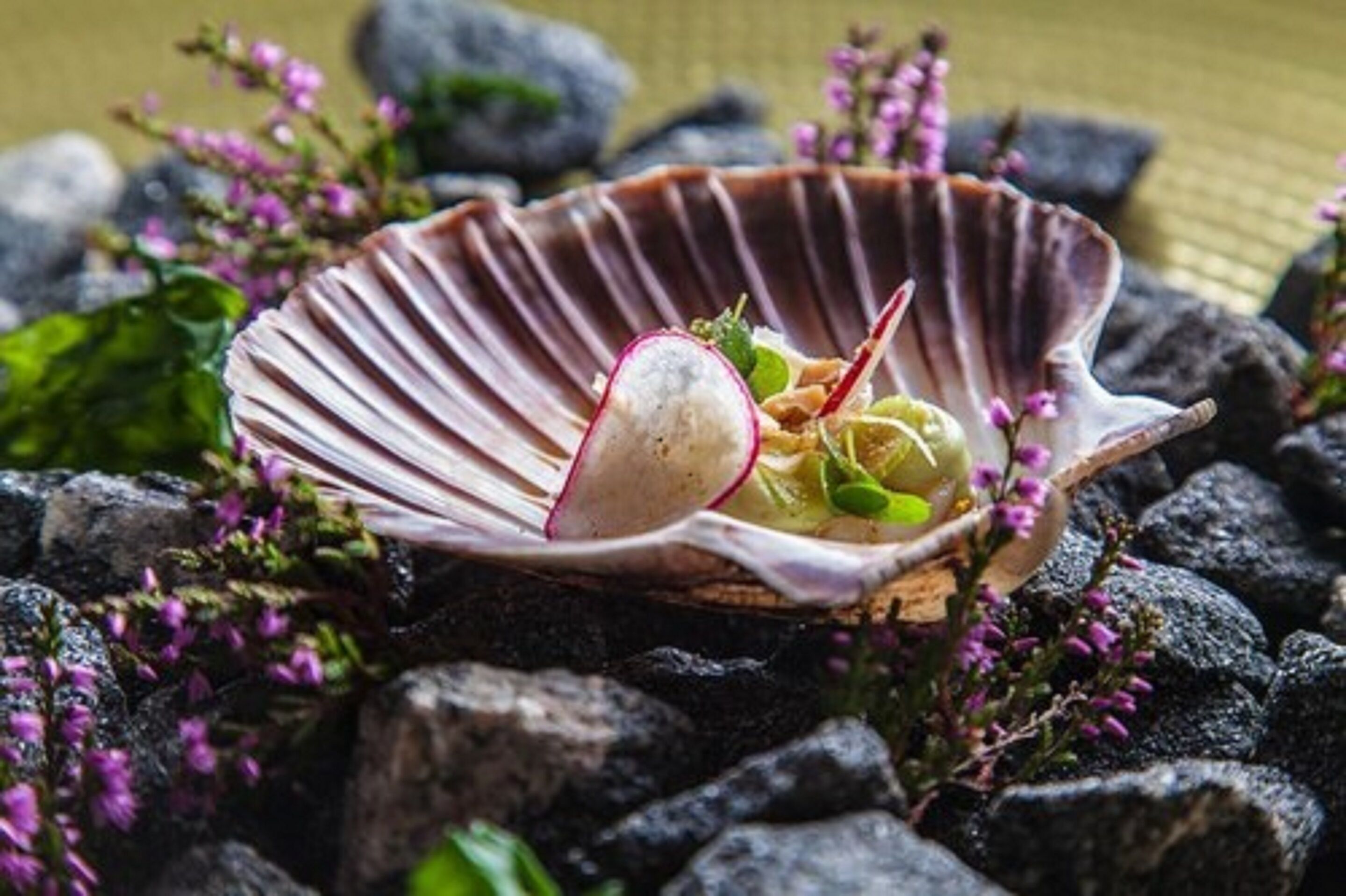 Un plato con forma de caracola, una rábano y verduras sobre una cama de rocas y flores.