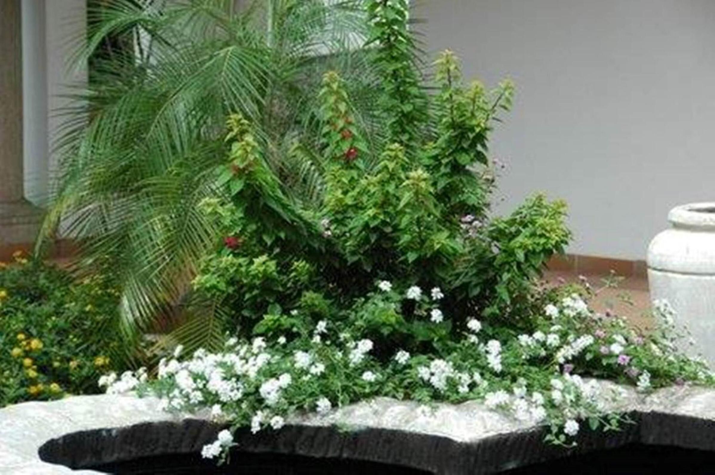 Photo - Centre Court B&B