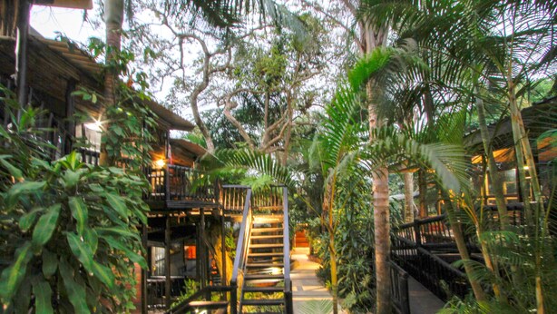 A wooden staircase surrounded by lush greenery, leading to a building with a thatched roof. - Umlilo Lodge (St. Lucia)