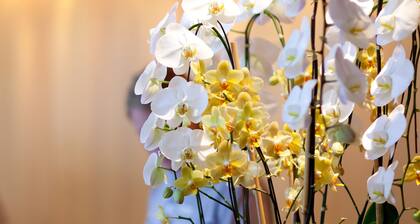 Pleasant Valley Motel West Stockbridge