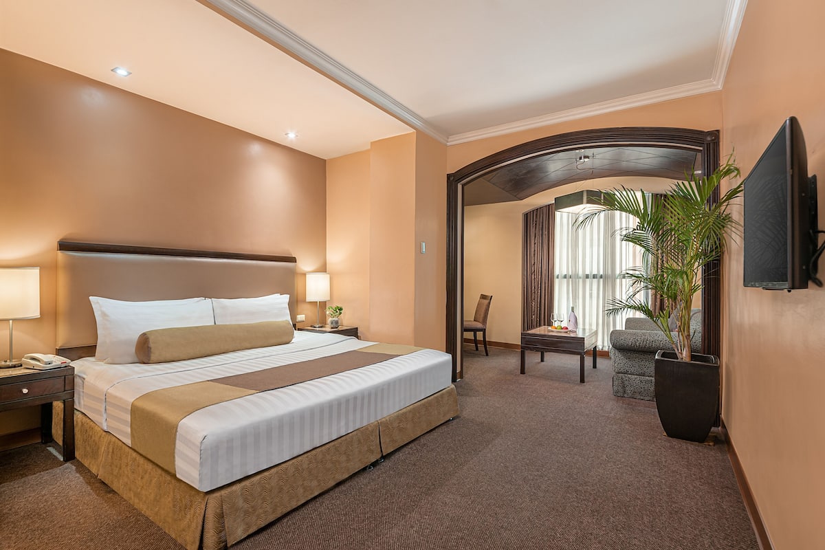 A hotel room with a large bed, bedside tables, a desk, a chair, a TV, and a potted plant.