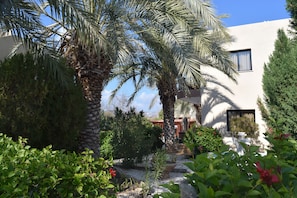 Garden - Anna Hotel Apartments (Kissonerga)