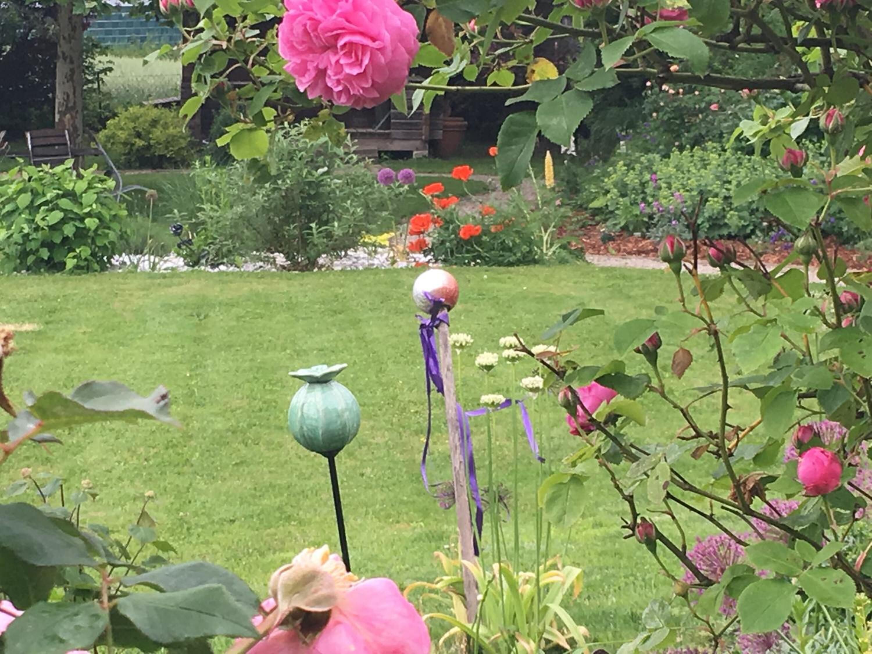 A garden with various plants and flowers, including a prominent pink rose.