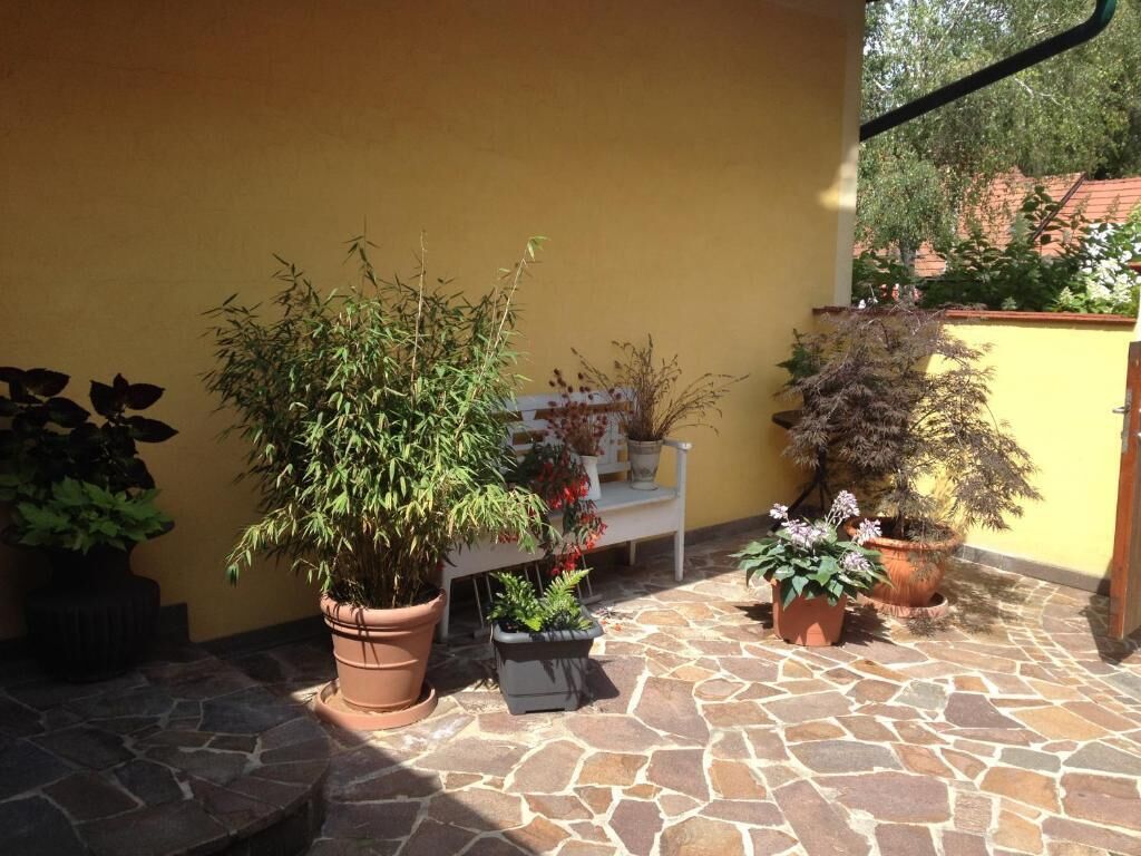 A patio area with potted plants, a bench, and a stone floor.