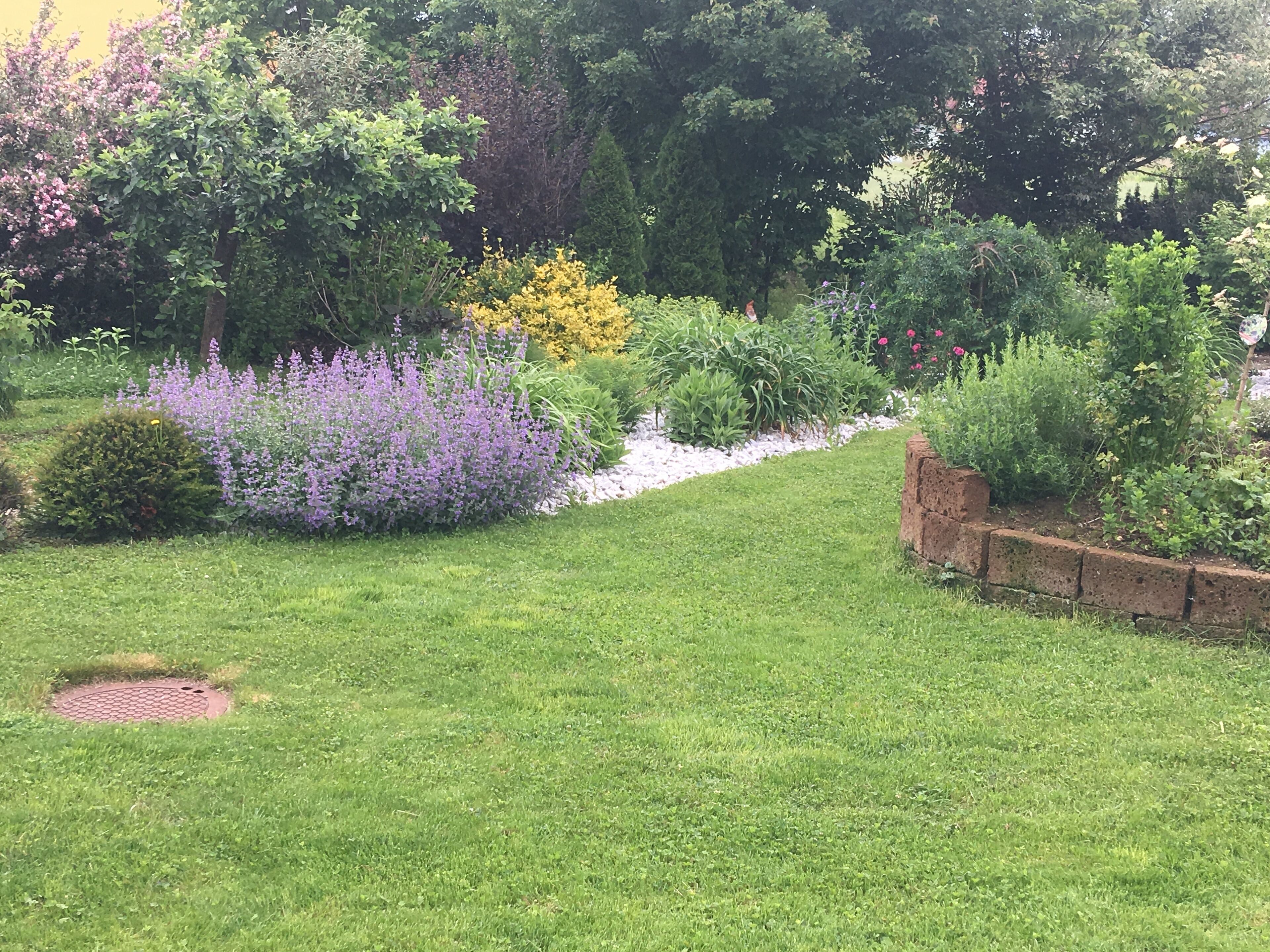 A well-maintained garden with various flowering plants and a brick pathway.
