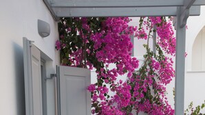 A small outdoor seating area with a round table and two chairs, a white door, and a wall covered with pink flowers. - Markakis Studios Fira (Santorini)