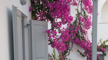 Deluxe Triple Room | Terrace/patio