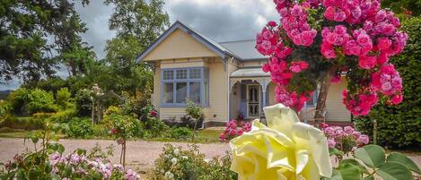 Utsikt fra overnattingsstedet