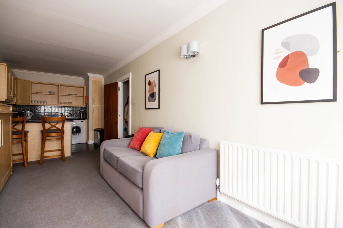 A compact living space with a kitchenette, a grey sofa with colorful cushions, and a framed abstract artwork on the wall.
