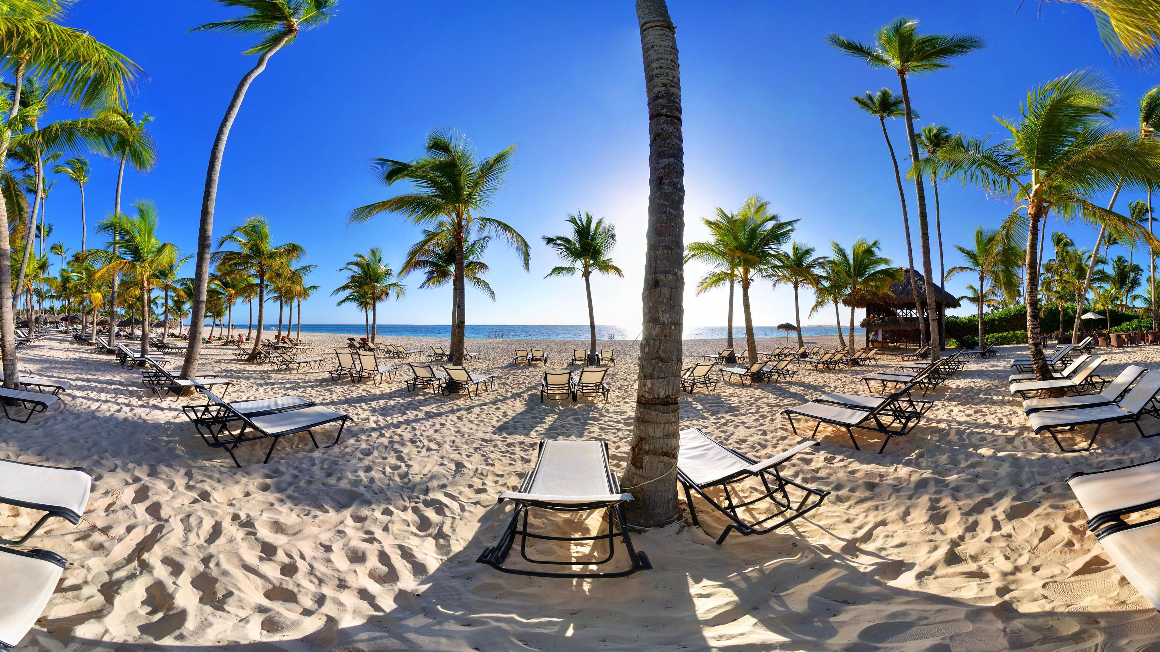 A beach with rows of sun loungers and palm trees, a thatched-roof structure, and a clear view of the ocean.
