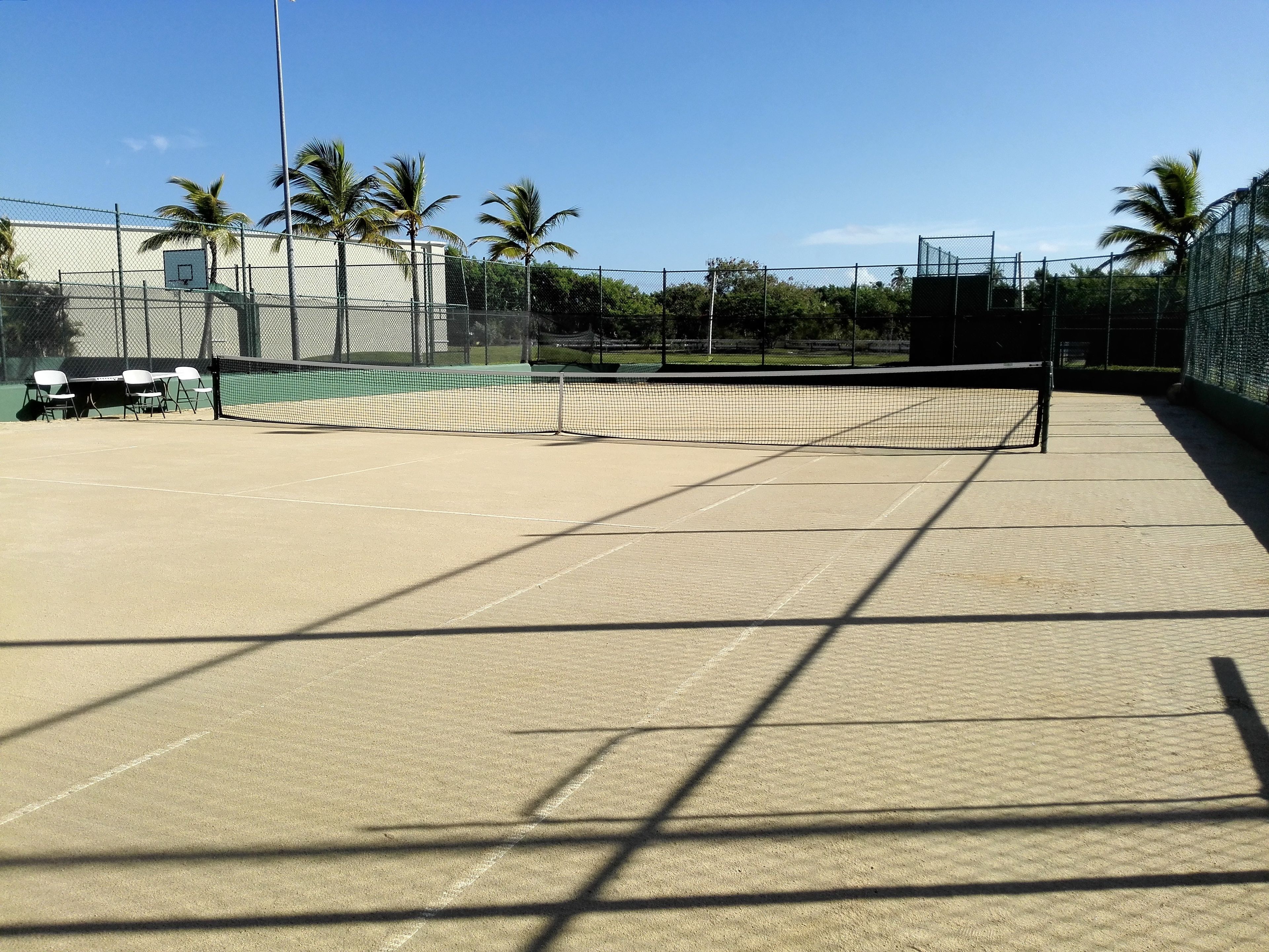 Ein Tennisplatz im Freien mit Netz, Stühlen und Palmen im Hintergrund.