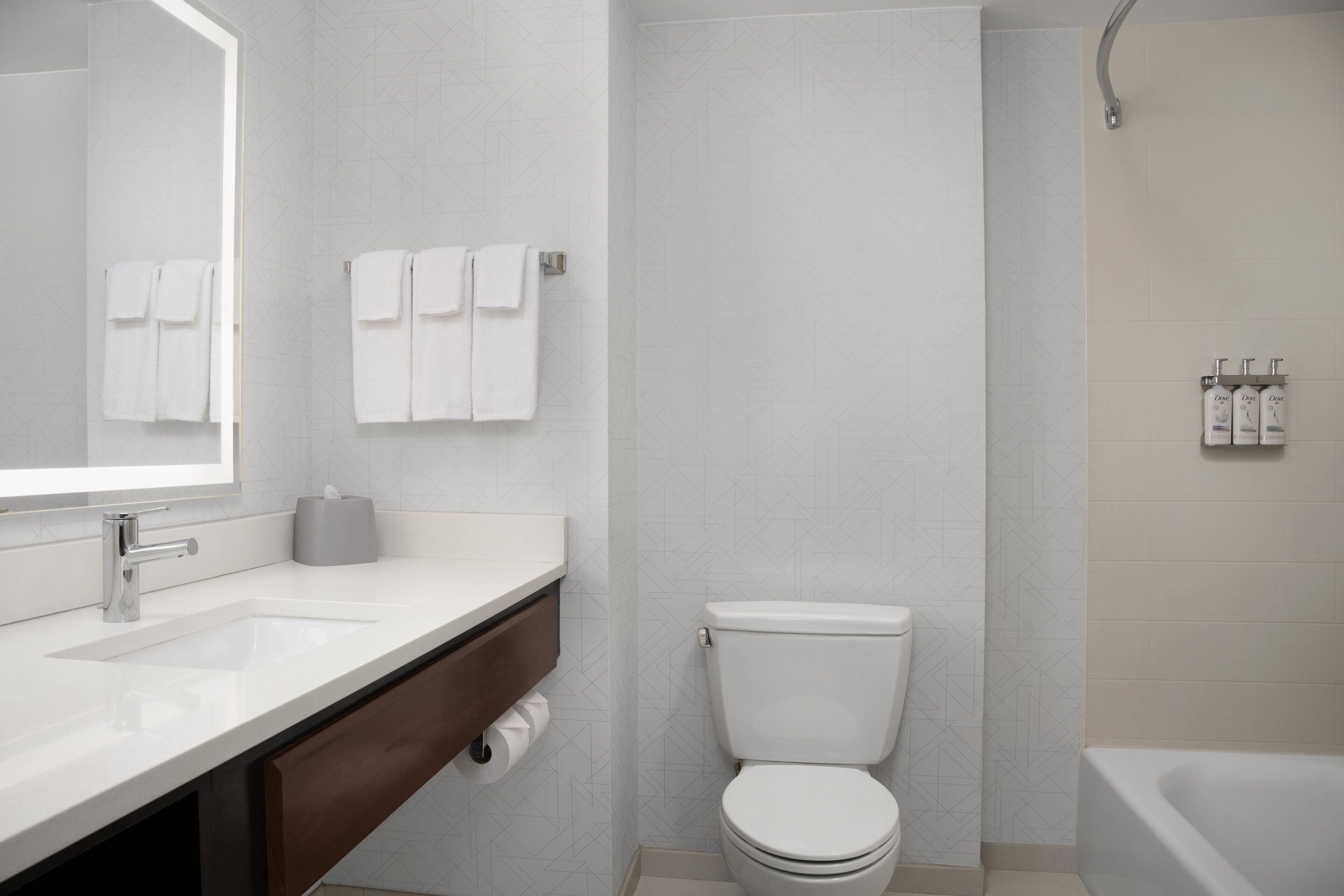 combined shower/bathtub, free toiletries, hair dryer, towels