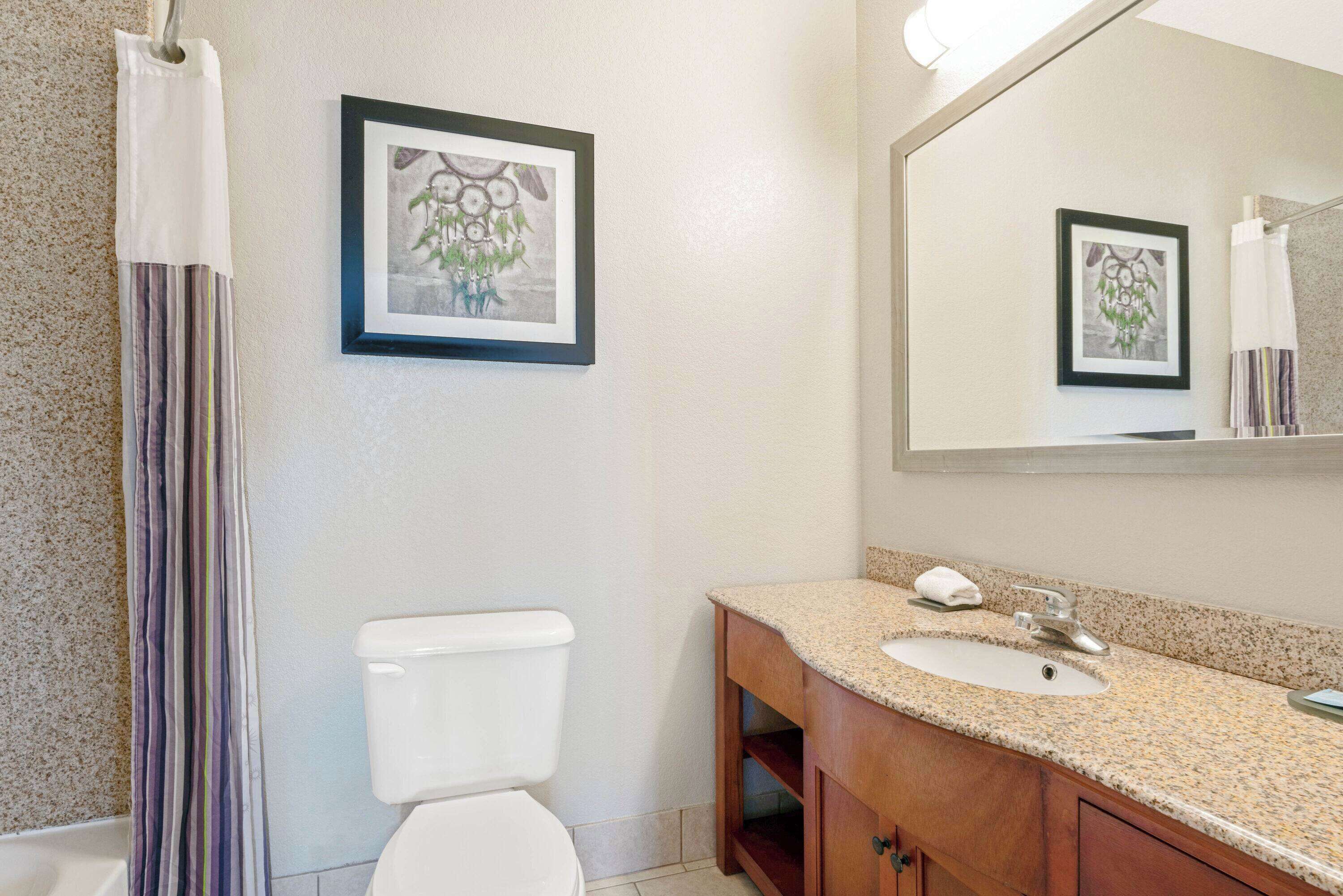 combined shower/bathtub, free toiletries, hair dryer, towels