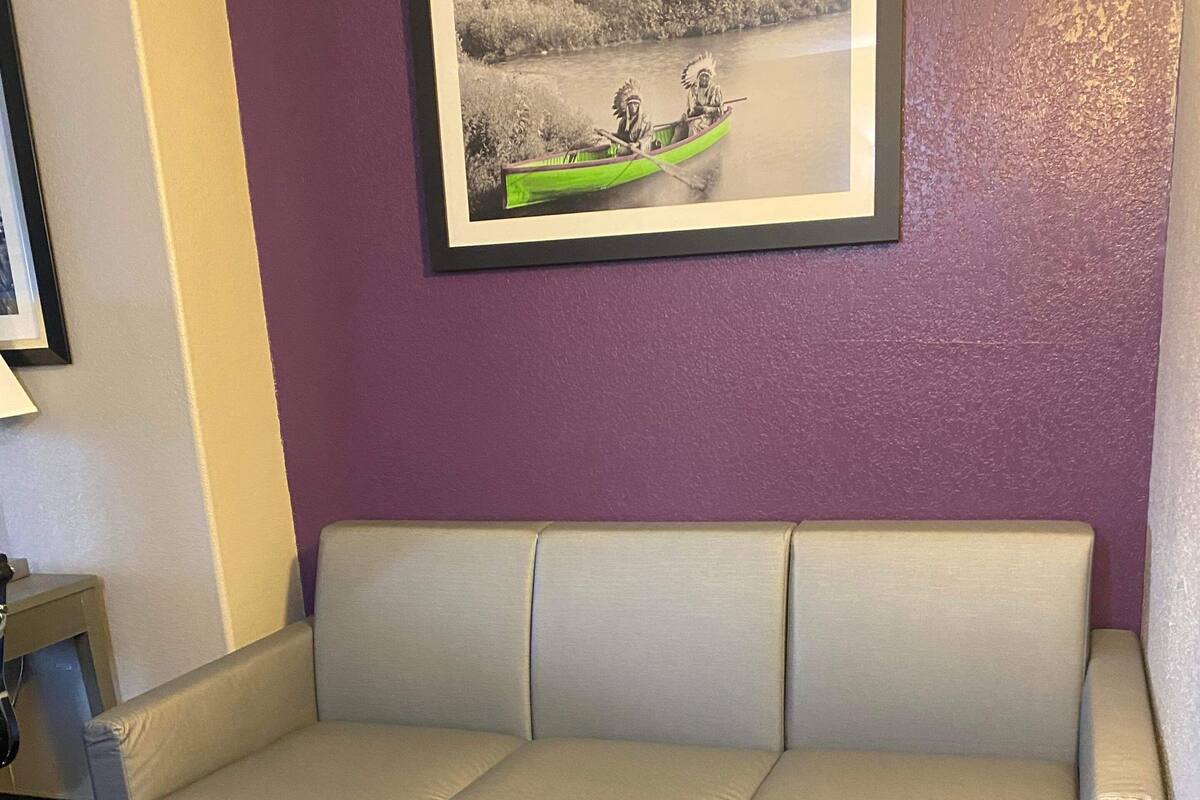 A room with a sofa and a bench, a framed picture on the wall, and a patterned carpet.