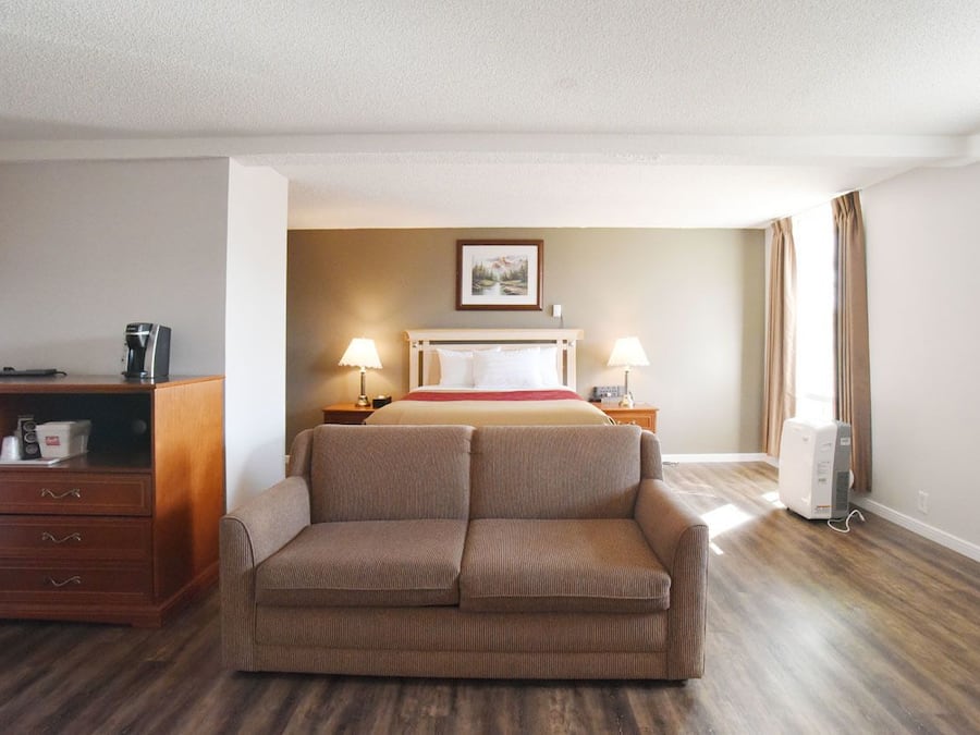 Standard Room, 1 Queen Bed with Sofa bed, Non Smoking | Desk, cribs/infant beds, rollaway beds, WiFi