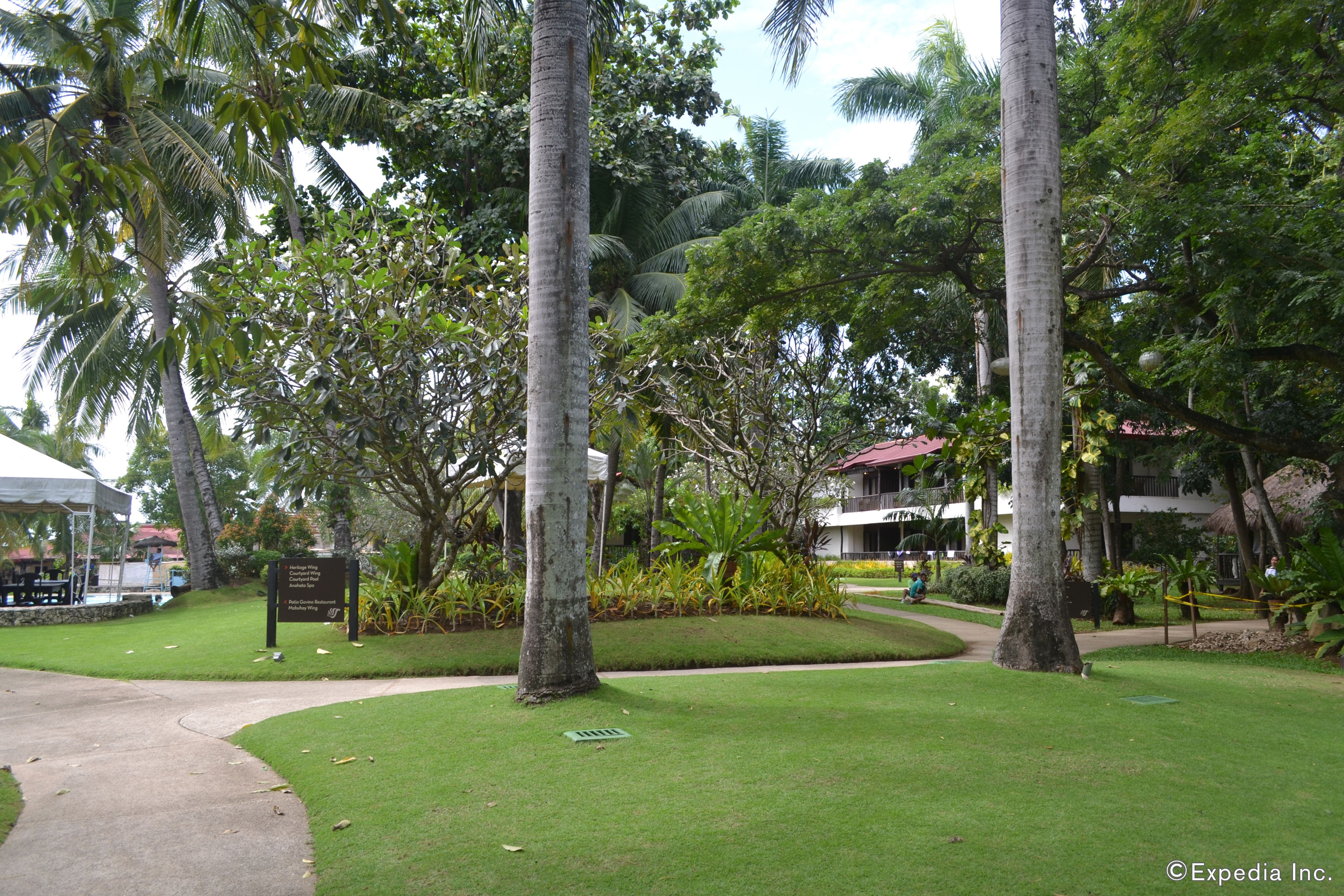 A lush garden with palm trees and a pathway leading to a building with a red roof.