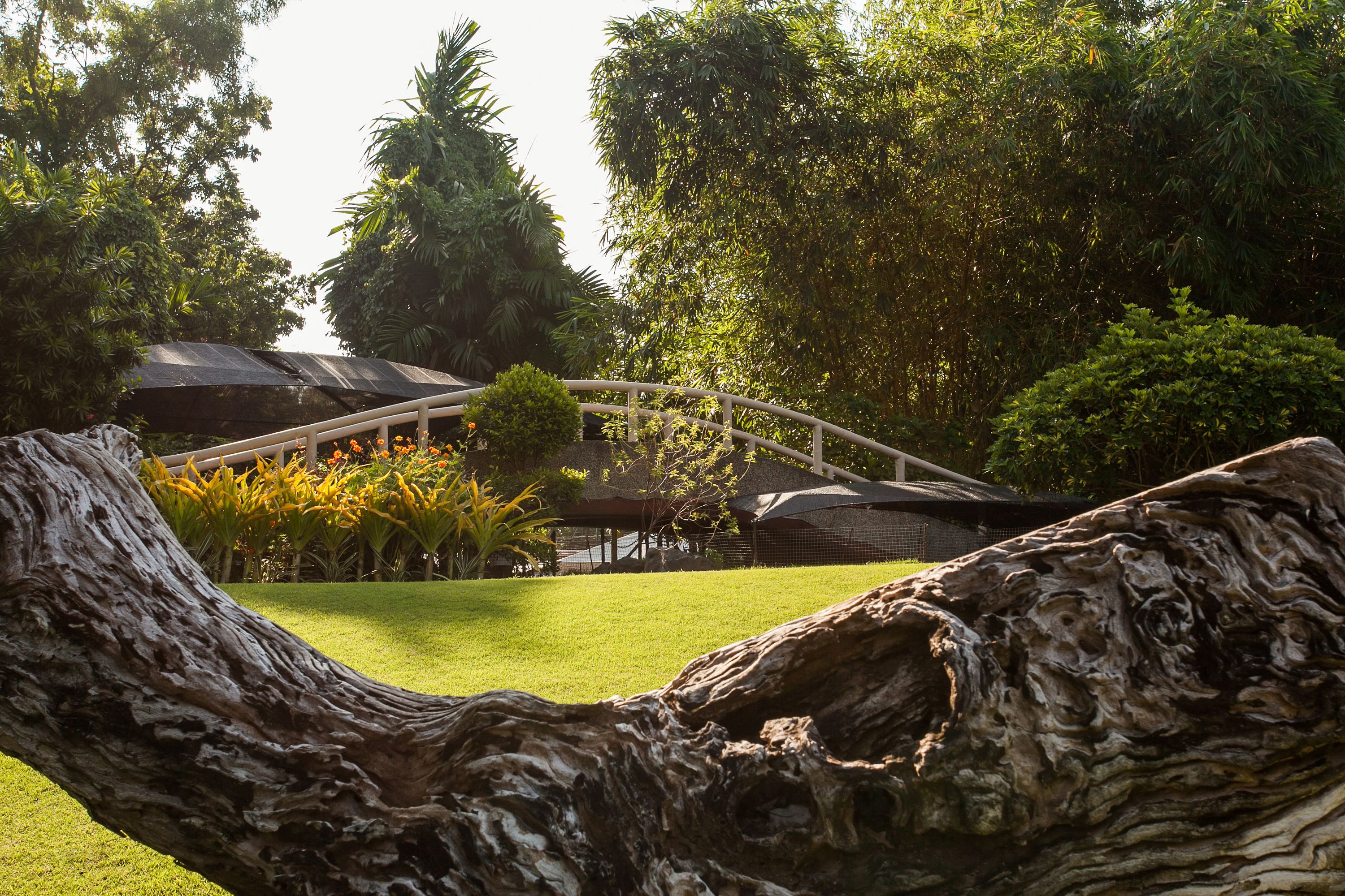 Foto - Cebu White Sands Resort and Spa