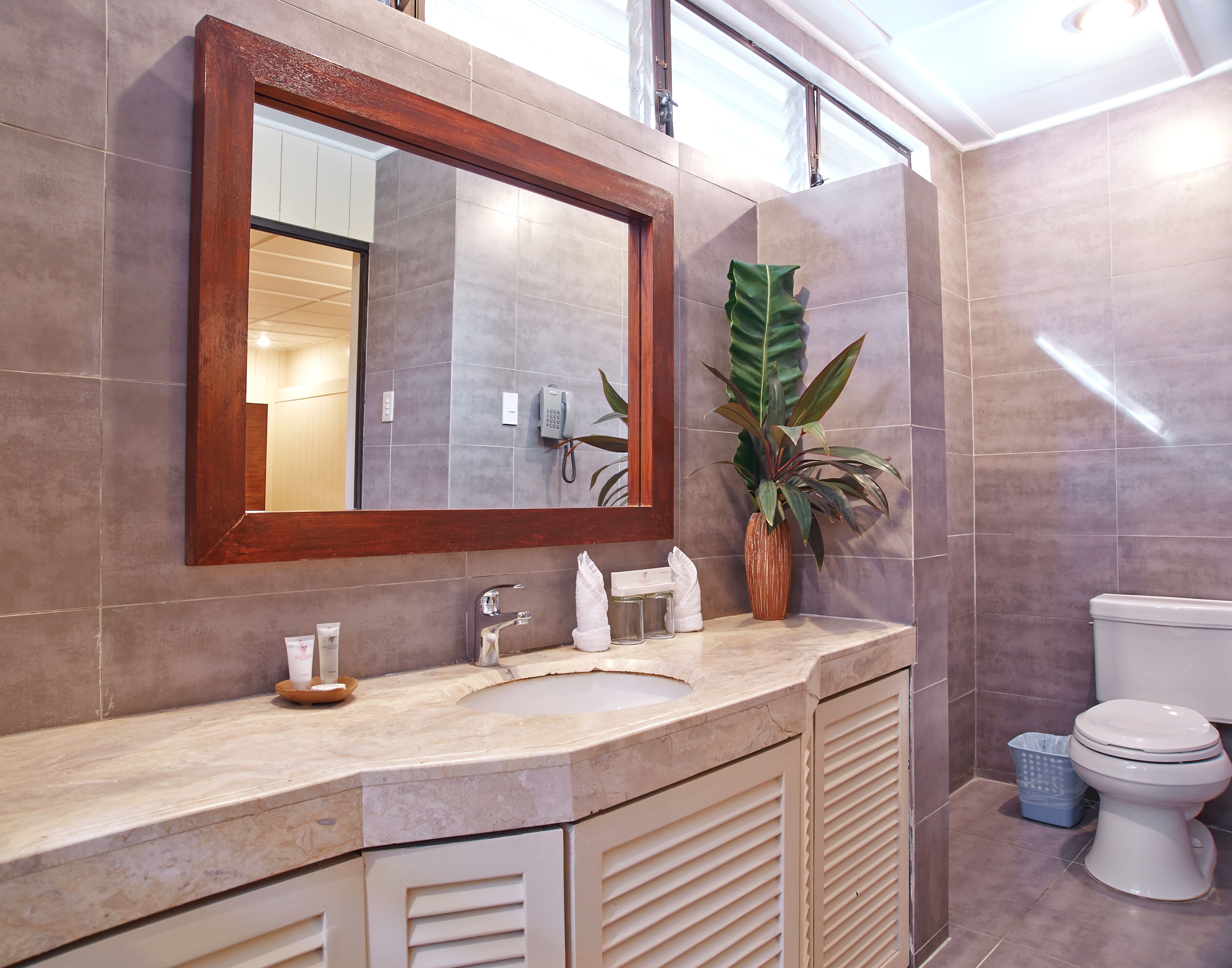 Une salle de bain avec un grand miroir, un lavabo avec une serviette, une plante en pot et des toilettes.
