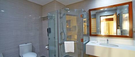 A modern bathroom with a glass-enclosed shower, a toilet, and a vanity with a mirror.