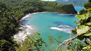 A coastal landscape with a clear turquoise sea, dense green forest, and mountainous background.