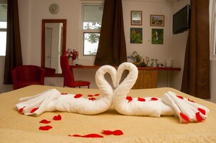 Minibar (con algunos artículos gratuitos) y caja fuerte