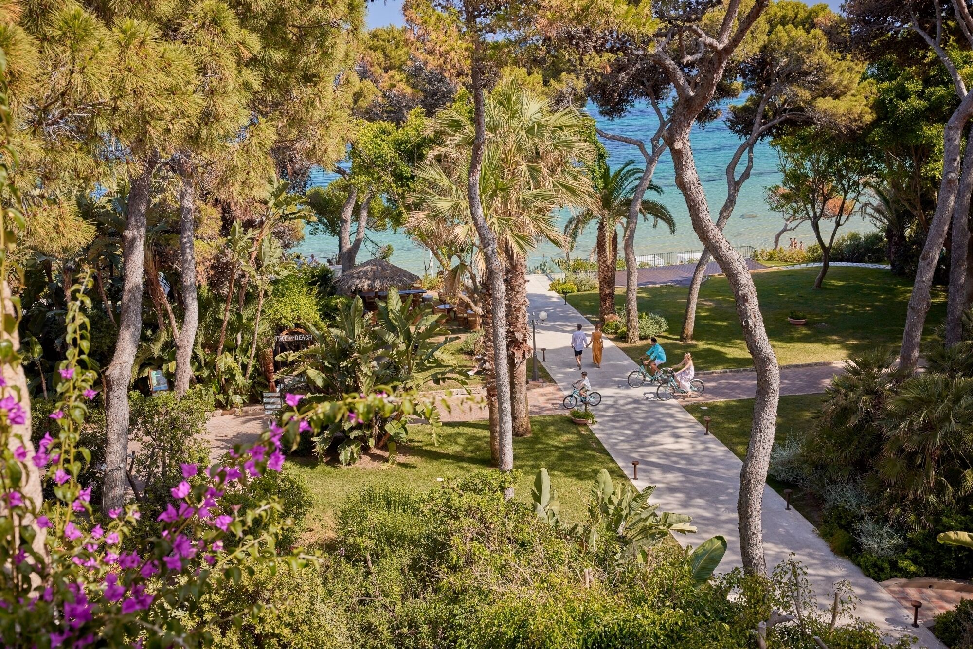 Un sentiero che conduce a una spiaggia, con palme e vista libera sul mare.