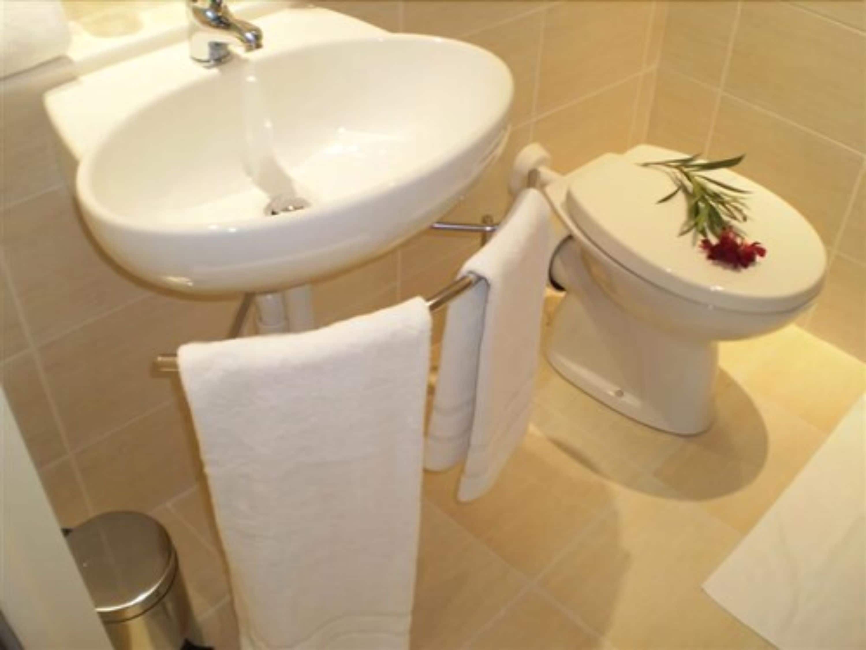 standard double room | bathroom | towels
