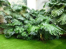 Áreas de la propiedad