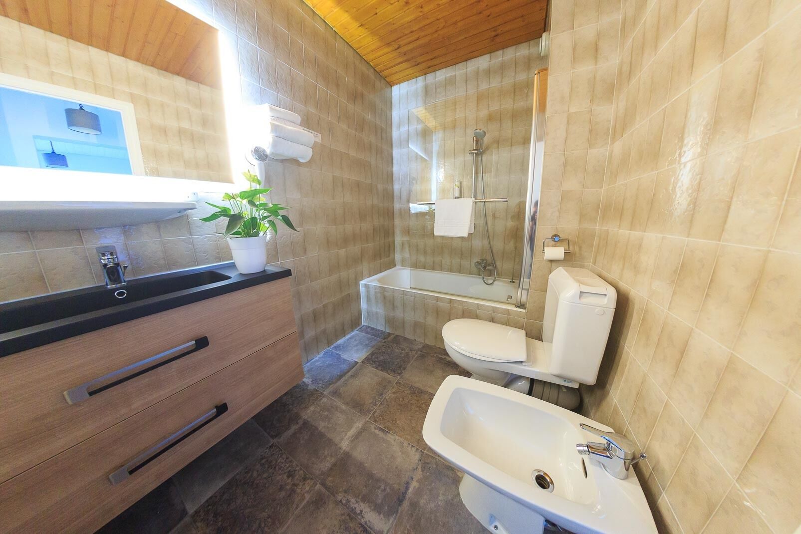 Foto - Logis hôtel Annecy nord / Argonay