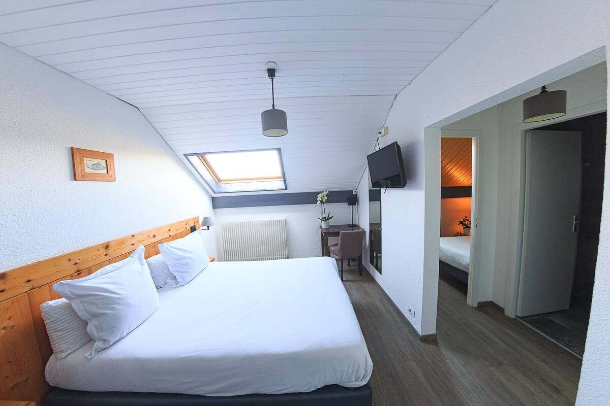 Hotelkamer met een bed, een bureau, een stoel, een televisie, een radiator en een dakraam.