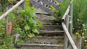 A wooden staircase leading to a wooden building with a red canopy. - Le Roitelet (Chatel)
