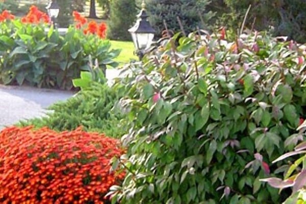 Área da propriedade