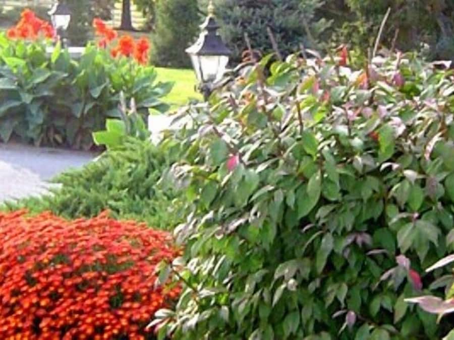 Área da propriedade