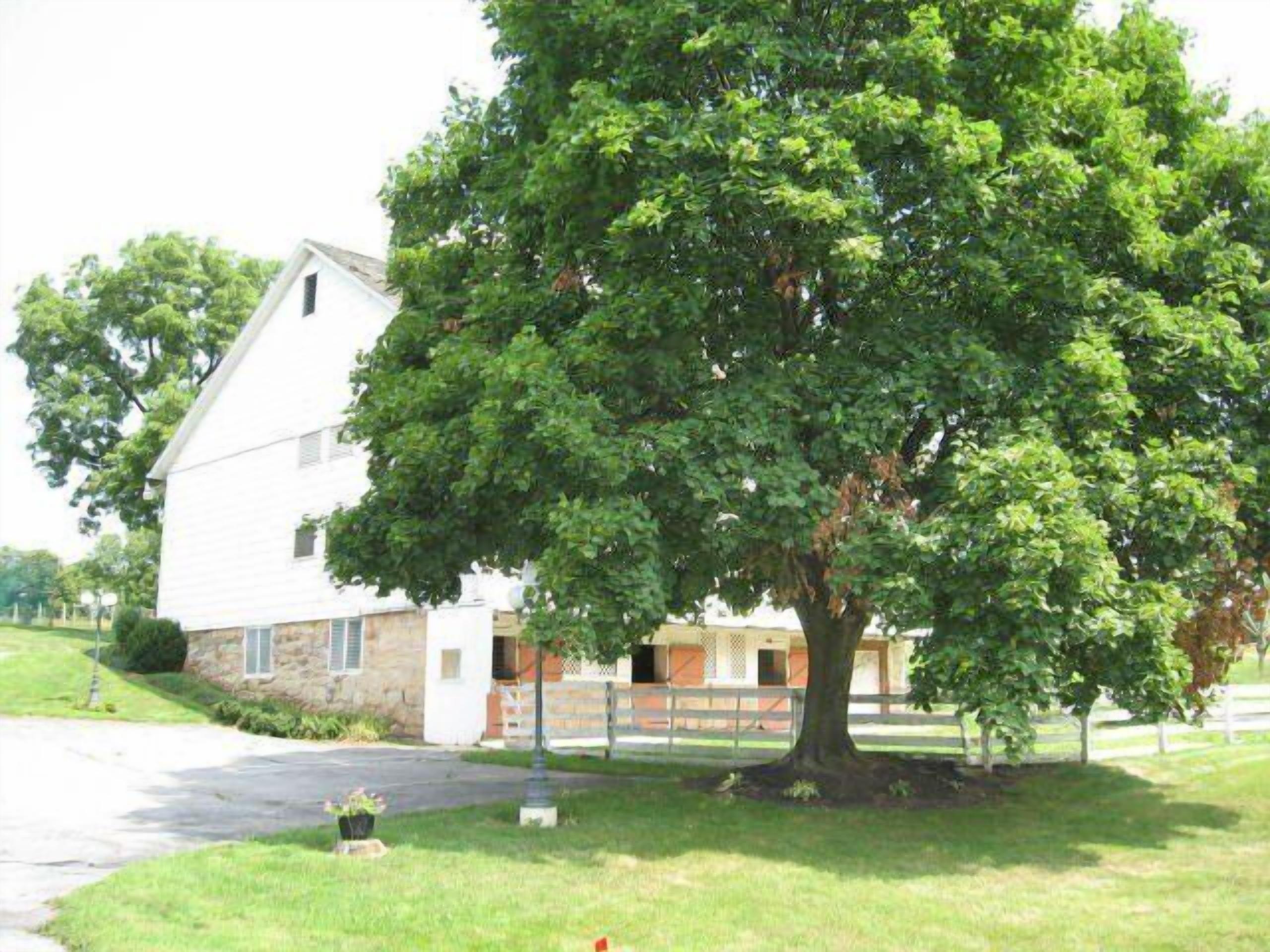 A white house with a large tree in front.