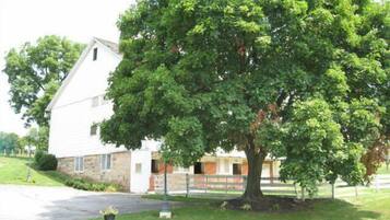 A white house with a large tree in front.