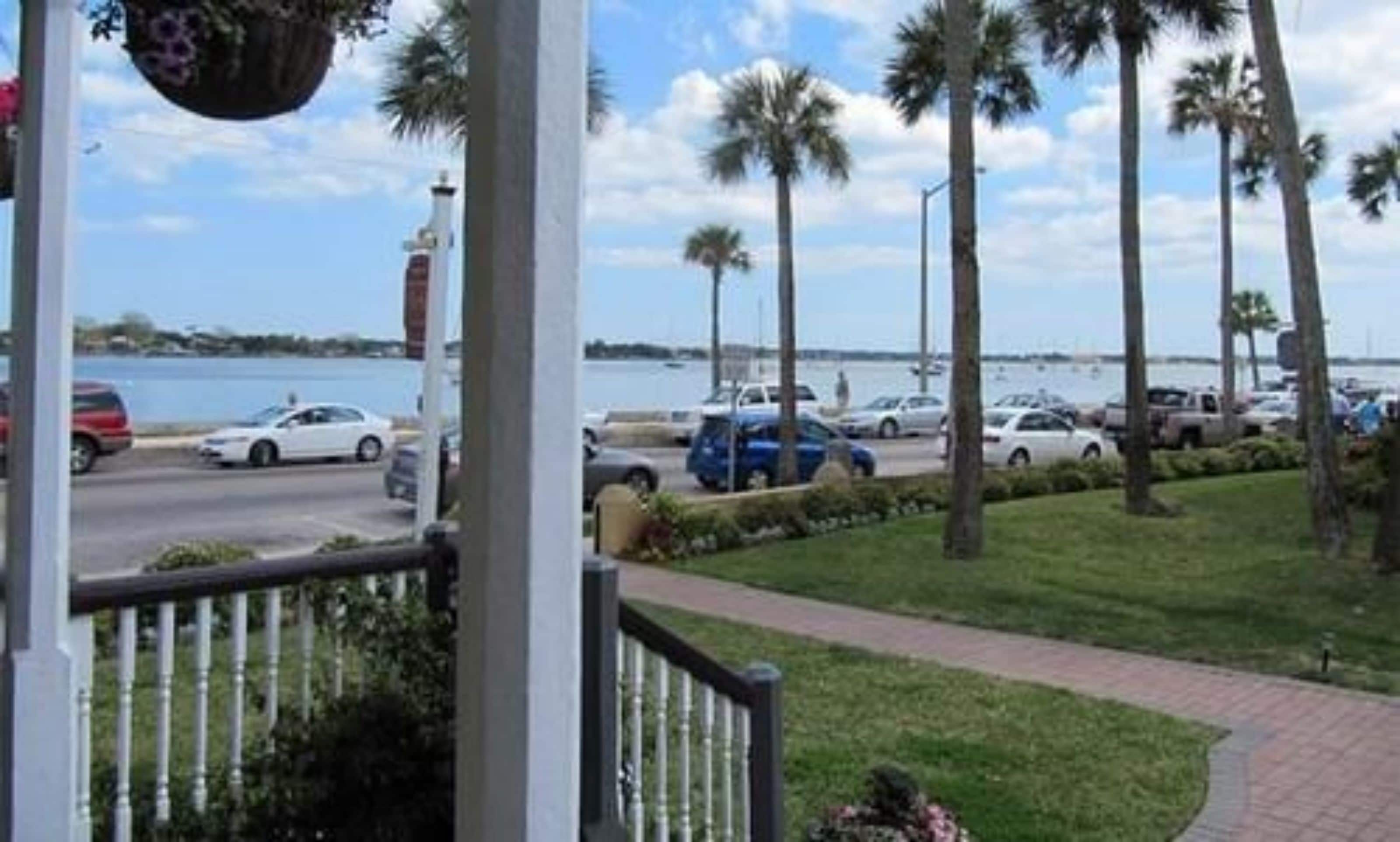 A coastal view with parked cars, palm trees, and a body of water.