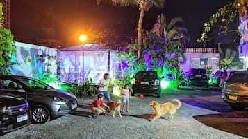 Estacionamiento: 35 por día