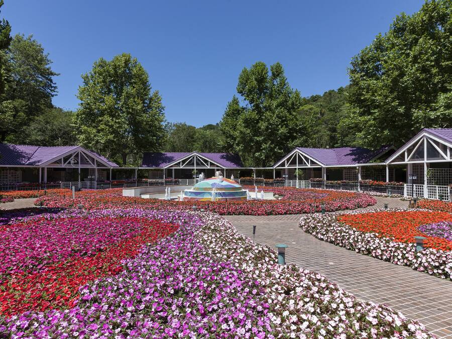 A garden with flower beds and a central fountain.