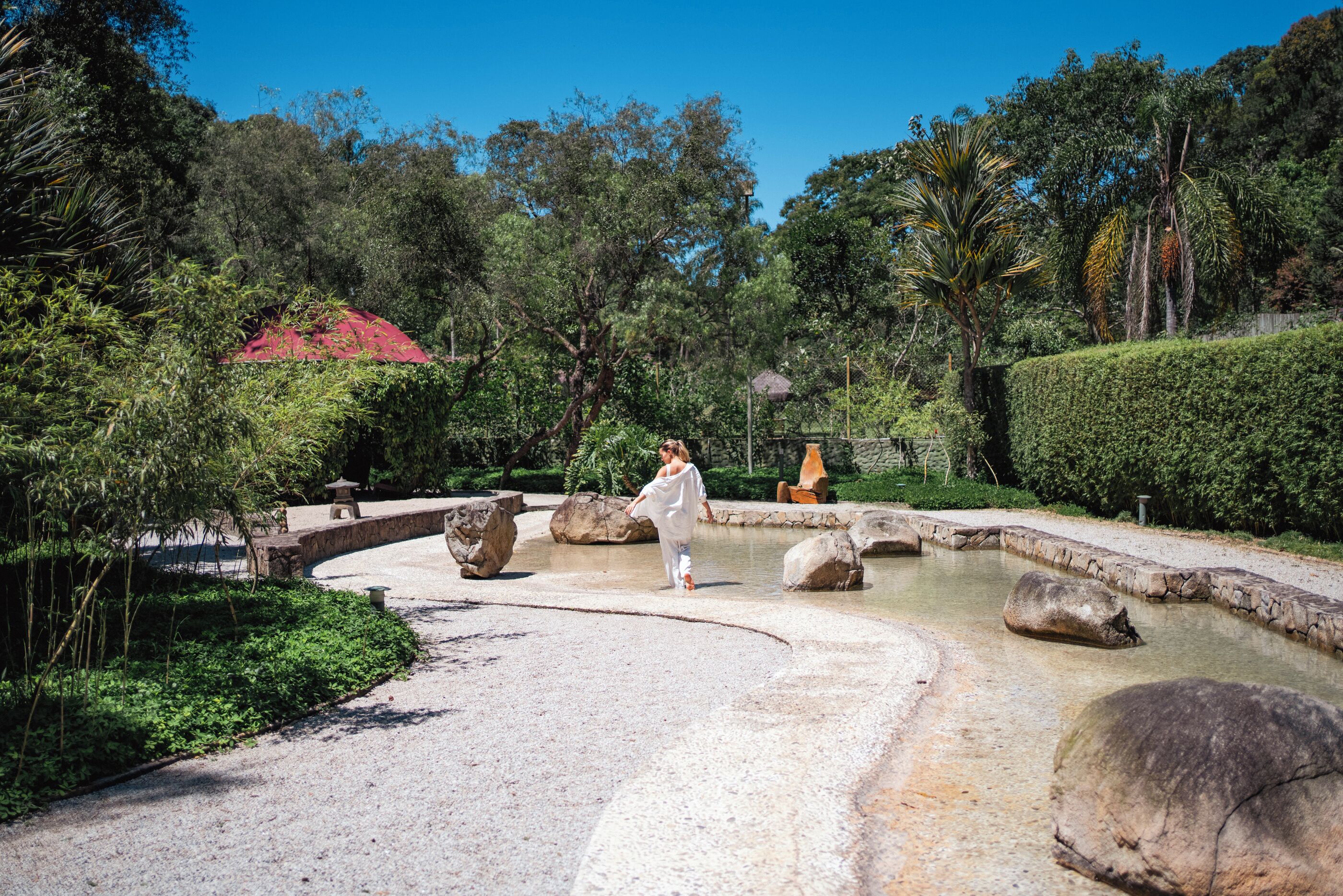 Jardin