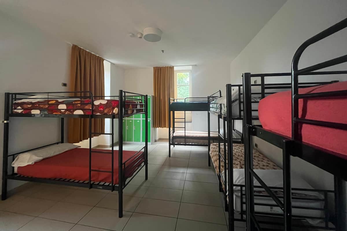A dormitory room with bunk beds, a green storage unit, and a window with curtains.