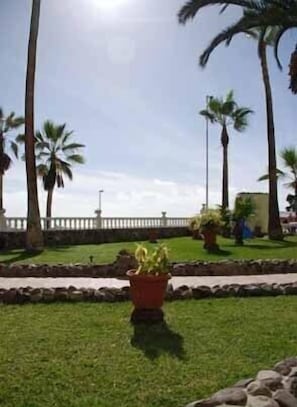Garden - Aparthotel Maracaibo (Mogan)