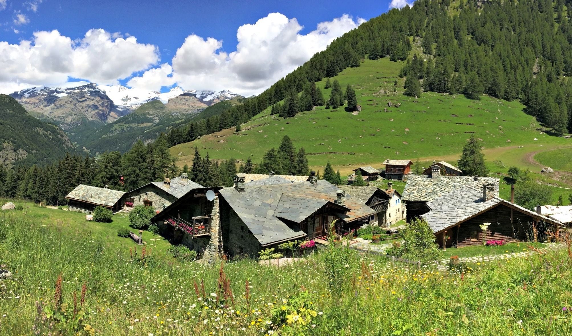 واجهة المنشأة