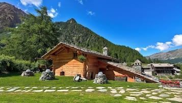 Puutarha
