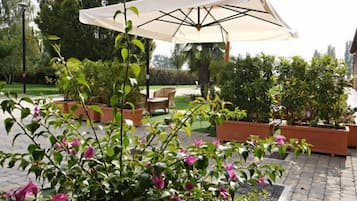 Jardin