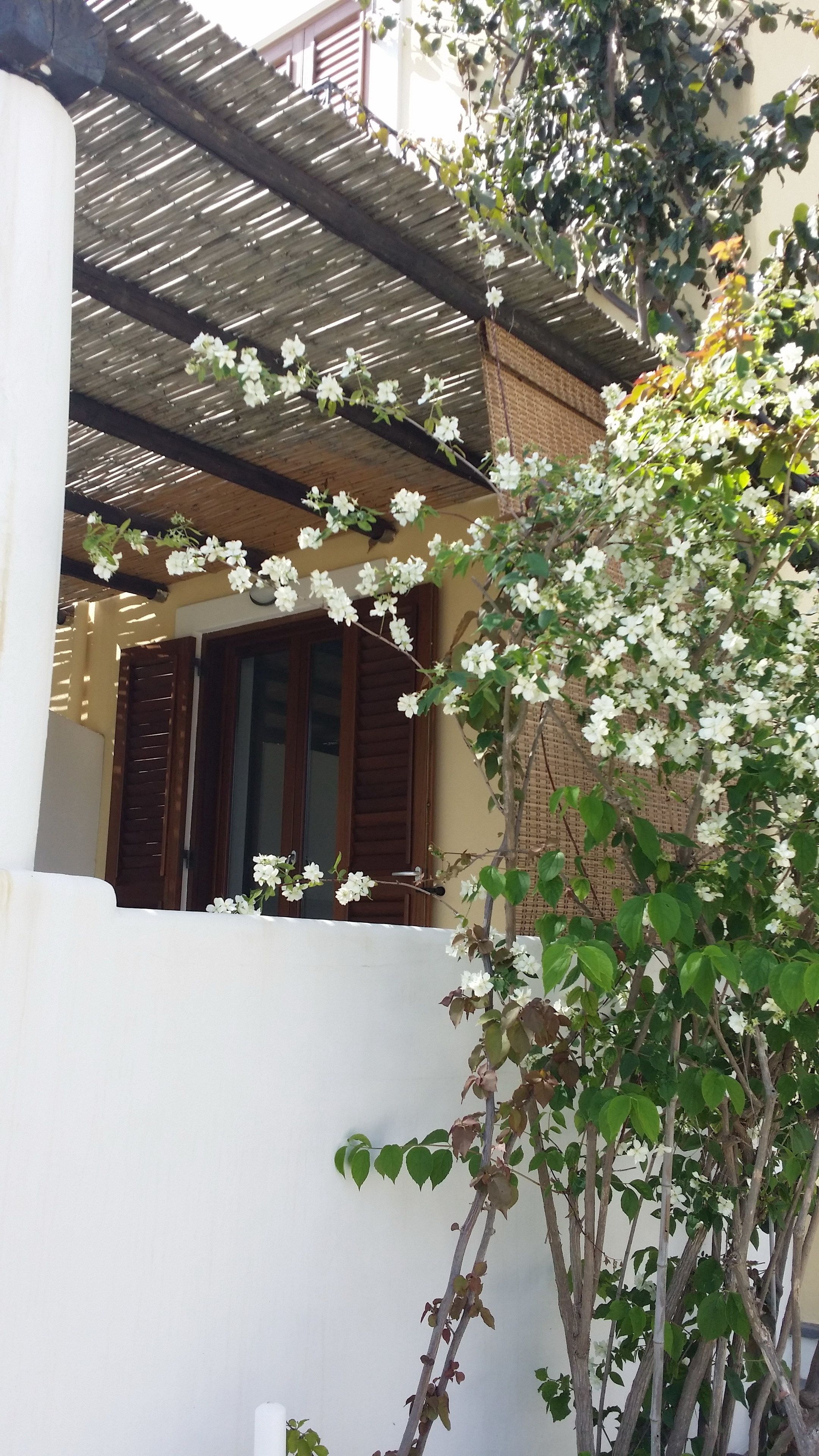 standard double or twin room | terrace/patio